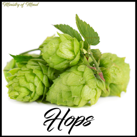 Hops in Mead Making